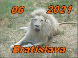 Ba 06-2021